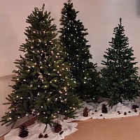 Fenwick United Church